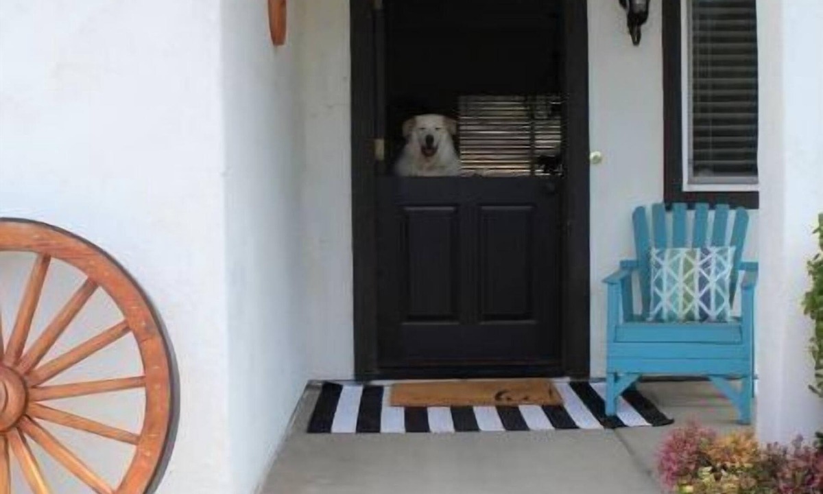 Fallbrook Cottage | Casita dos Robles Fallbrook's Favorite Dog-friendly Country Escape