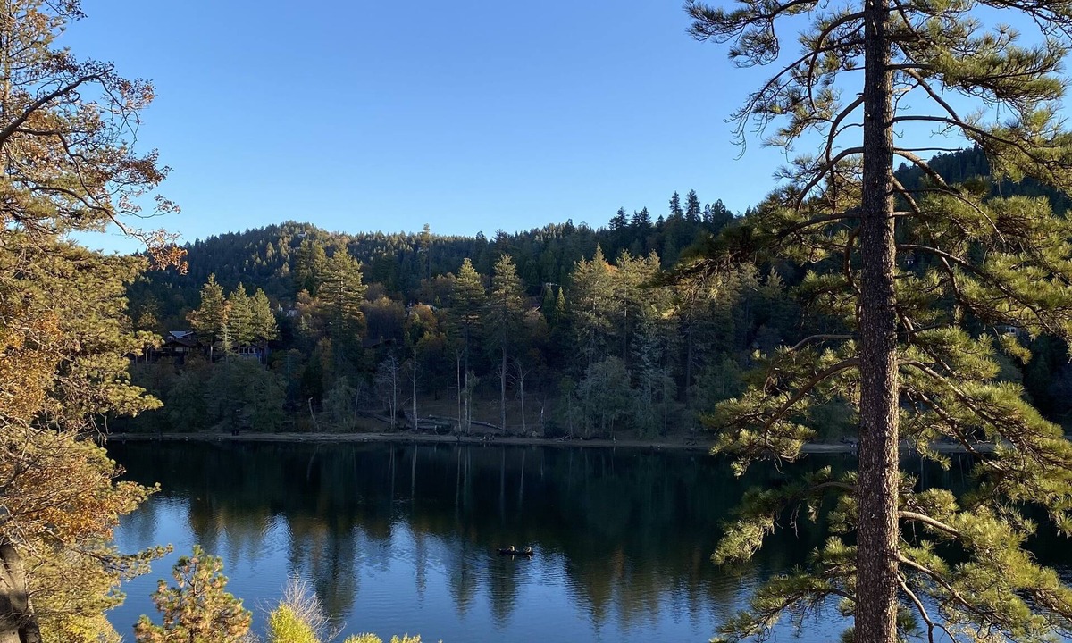 Crestline Cabin | Cozy Mountain Cabin Escape, 7 min to Lake Gregory