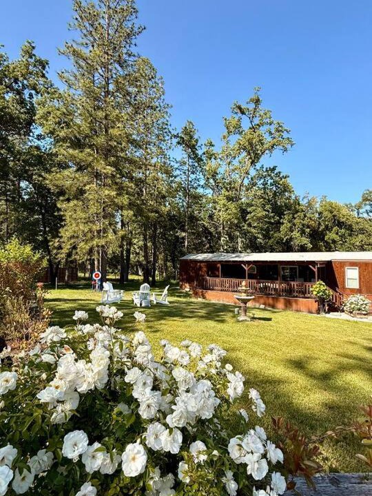 North Fork House | Creekside Doves Nest Yosemite SNF Bass Lake