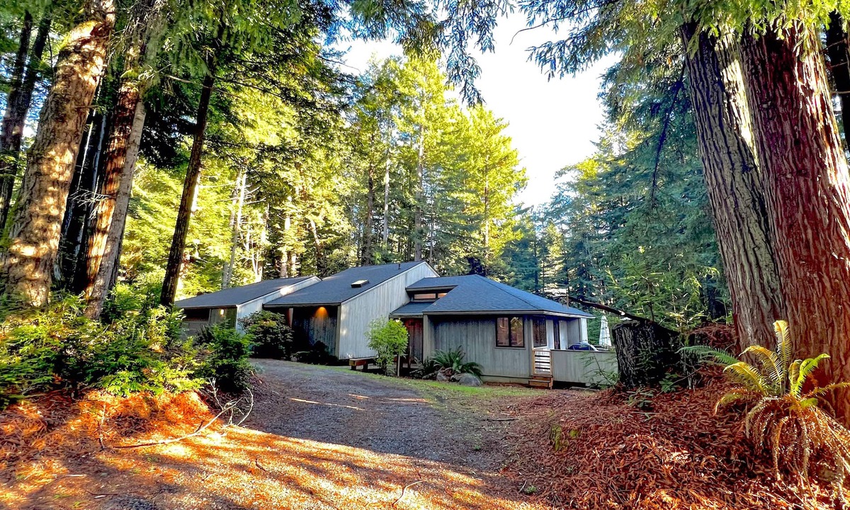 Crescent City House | Redwood retreat with large deck, grill, AC, & art collection - dog-friendly