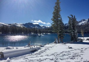 Aspen Creek #113