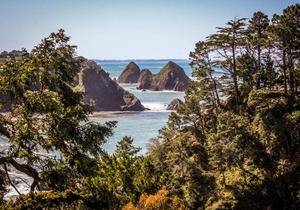 Stunning Elk House Oceanfront Deck & Views