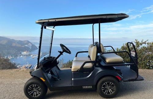 Avalon House | 10-Star Condo 21 Steps from Top - Premium Ocean View Corner Unit Fireplace New Golf Cart - HC245