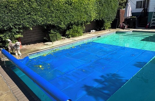 Magnolia Park House | 3-bedroom Burbank Pool home close to studios and a Park across the street!