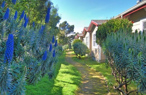 Pacific Grove Hotel | Bide-A-Wee Inn and Cottages