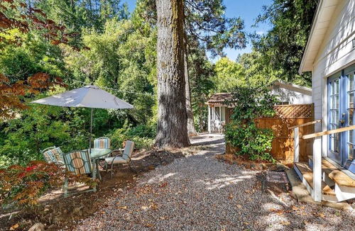 Cobb Cabin | Charming Cabin with Scenic Patio and Grill Area in Cobb, California