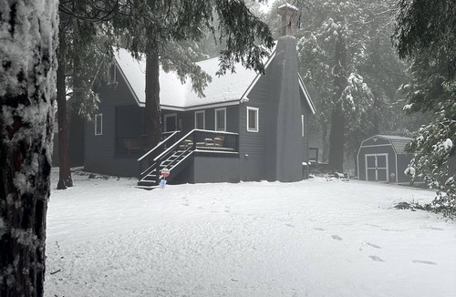 Crestline Cabin | Cozy Mountain Cabin Nestled on Flat Land! Near Lake Gregory!