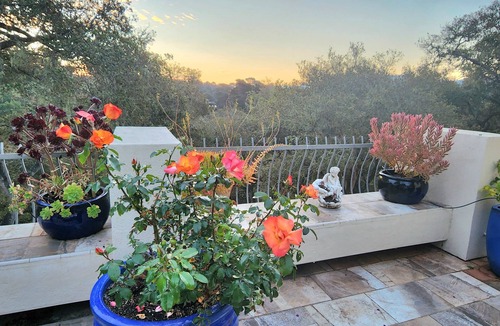 Southeast Carmel House | Escape the extreme summer heat in a Spanish Villa in Carmel-by-the-Sea