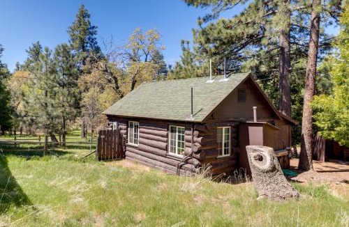 Mount Laguna House | Hike, Bike & Explore: Woodsy Retreat in Mt Laguna!