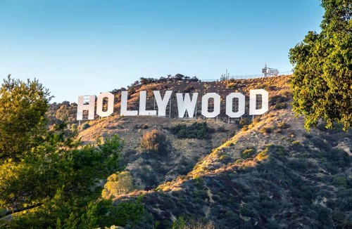 Hollywood Apartment | Hollywood Resort Style Apartment I Pool Gym I Free Parking