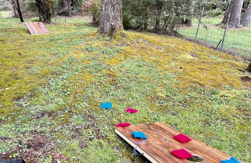 Cedar Mountain Cottage | Idle Hour minutes to Dupont State Forest or Pretty Place