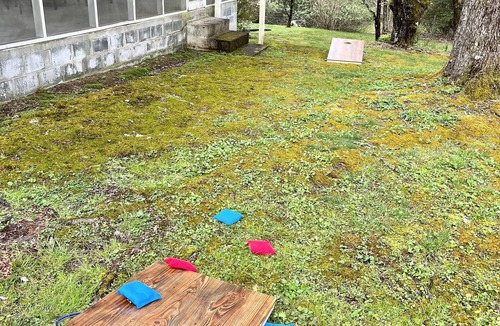 Cedar Mountain Cottage | Idle Hour minutes to Dupont State Forest or Pretty Place