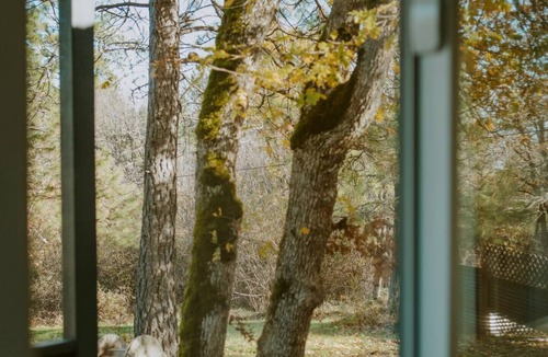 Central Point Apartment | Little Wolf Tiny Home cozy, pet friendly, secluded