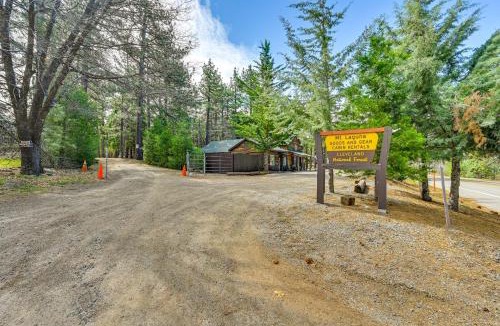 Mount Laguna House | Near Hiking & Mtn Biking: Cozy Cabin in Mt Laguna!