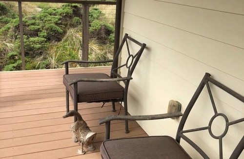 Watsonville House | Ocean View River to Sea Beach House 4 Bedroom