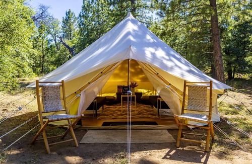 Mount Laguna RV Rental | Pioneering Pet-Friendly Glamping: Mt. Laguna's Original Nature Lovers' Retreat