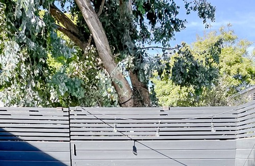 Hollywood Hills West House | Pristine 1BD/1BA Bungalow + Hot Tub - Ocean Park