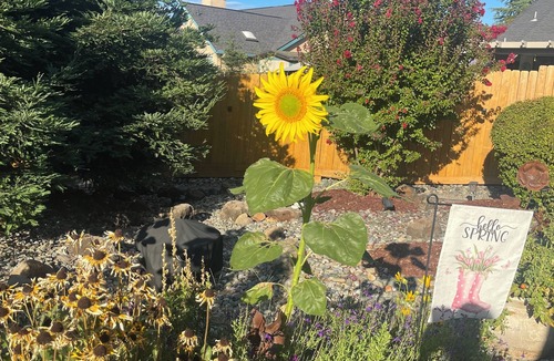 Redding House | Quaintly Queen in Charming Redding Close to Bethel & Mercy Shasta Hospital