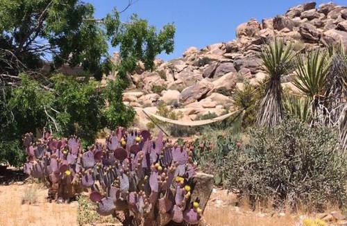 Monument Manor House | Rancho Rockotillo - Breakfast in the Boulders!