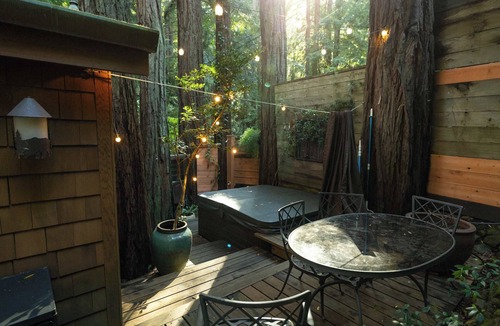 Mill Valley House | Redwood tree retreat in Mill Valley