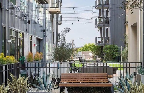 Glendale Apartment | Sophisticated & Stylish Apartment