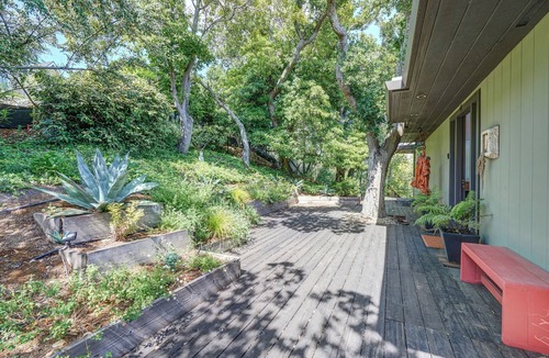 Mill Valley House | Spectacular Views, Privacy, Sunshine, 5 Minutes to Downtown Mill Valley
