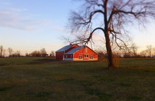 Paris House | The Barn at Deva's Farm: Haute Blue Grass - Chill Retreat in the countryside