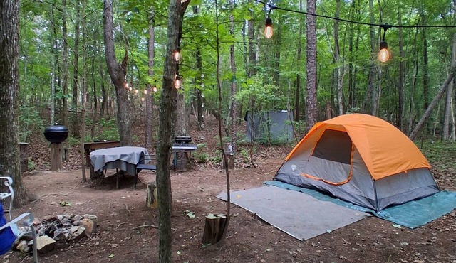 A crackling campfire, a creek & deer outside your tent & we have a nature trail! in Lancaster