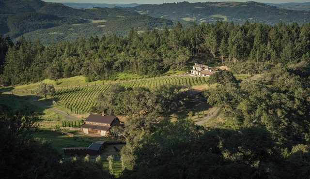 A Vineyard experience in the Wine Country.