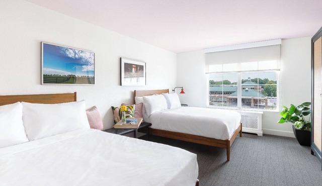 Accommodation Right in the Heart of the City | Pets Are Allowed in Lexington