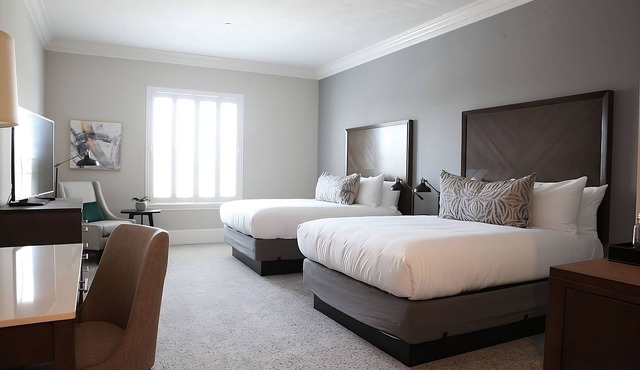 Amazing Stay! 4 Modern Units, Free Parking, Minutes from Lake Berryesa!
