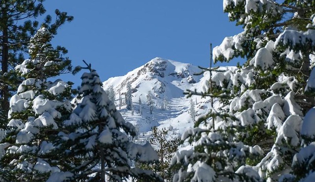 Big John at Alpine Meadows by Tahoe Getaways - Mountain Views, Cozy Fireplace, Shuttle to Slopes!