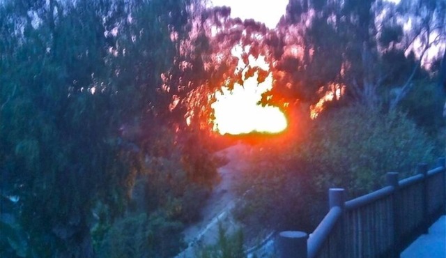 Bluebird Canyon Hideaway: Walk to Beach & H.I.P. District –Serene Garden setting
