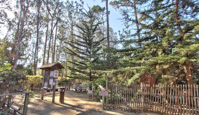 Butterfly Grove Inn