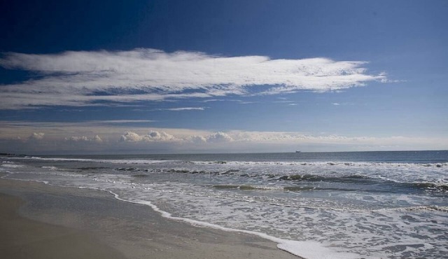 Charming Two Bedroom First Floor Condo Close To Tennis, Golf, and The Beach. in Hilton Head Island