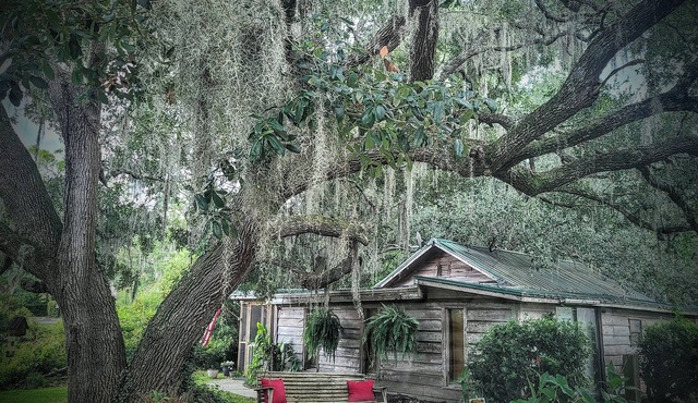Charming Unique Cabin: The LiTTLe House in the Inlet! in Murrells Inlet