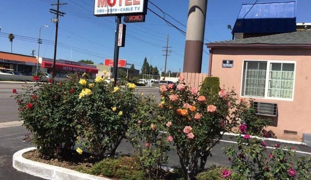CINEMA MOTEL