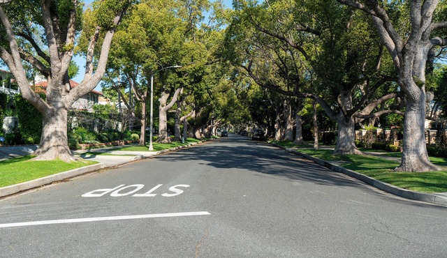 Classic Beverly Hills Guest House in the Flats – Long-Term Rental
