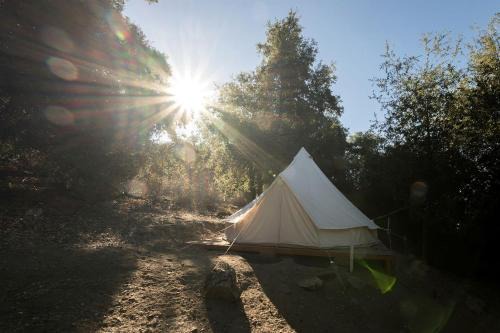 Cozy Bell Tent with Valley Views and Off-Grid Glamping near Palomar Mountain California