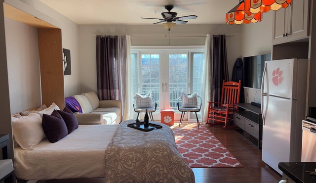 Cozy & convenient studio apartment with a view of Death Valley. in Clemson