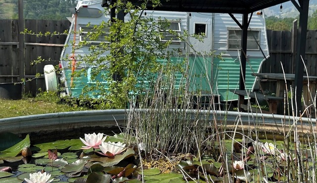 Dale-Vintage Glamping at Winery Near Sequoia