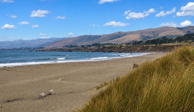 Easy to Walk Sand~Bodega Bay~Beach Retreat~Surf-Fun–Fisherman’s Cottage