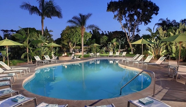 Excellent Choice! Spacious Suite w/Kitchenette, Pet-friendly, Outdoor Pool