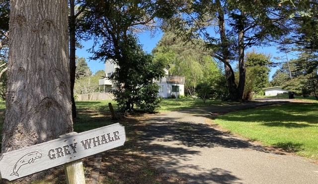 Grey Whale so close to so many beaches, hikes and more!