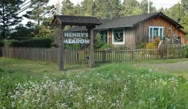 Henry's Meadow. Just South of Fort Bragg off Hwy 1.