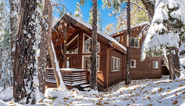 High Trees Haven~EV Charging Plug, Sauna, Heat & A/C!