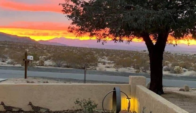 Joshua Tree Oasis with Pool By Summer