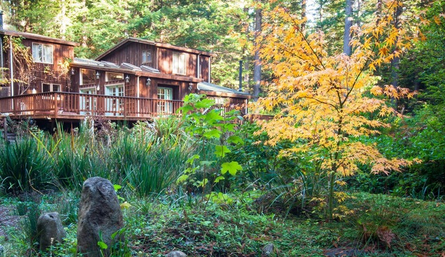 Mendocino County Handcrafted 6000 sqft Lodge tallest Redwoods & Zen Pond Garden