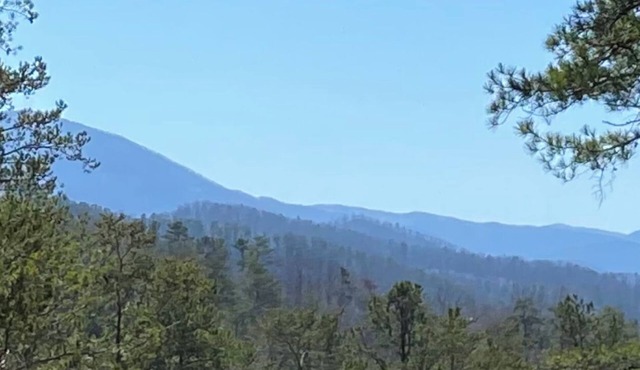 Mtn.View from Hottub, A+ Location 2 Mi to PF.Pkwy,Not up Mtn,Private,SUPERCLEAN