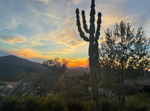 Painted sky casita